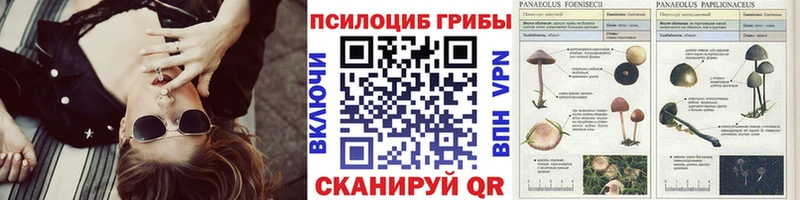 Псилоцибиновые грибы ЛСД  Лениногорск 